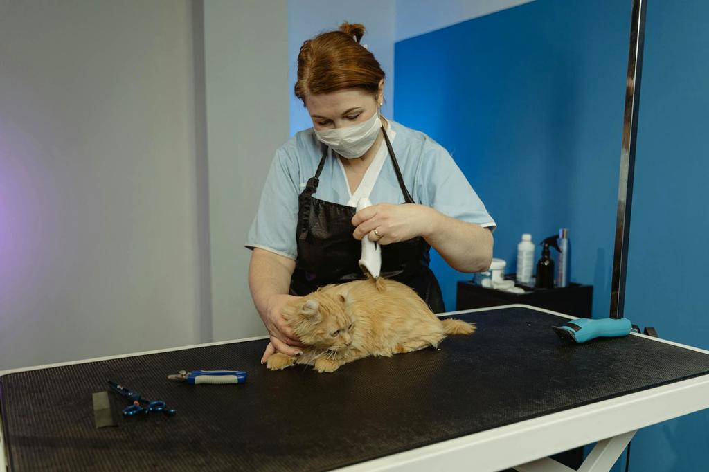 Senior Groomer Theo Harrison